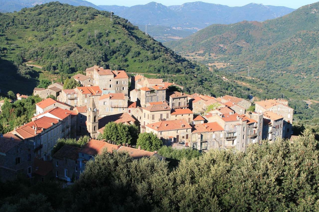 Studio Le Petit Nid D'Amour Meuble Tourisme 3 Etoiles Poggio Santa-Lucia-di-Tallano Εξωτερικό φωτογραφία